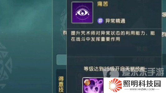 魔力寶貝復(fù)興咒術(shù)師攻略 咒術(shù)師技能