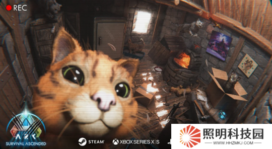 《方舟: 生存飛升》更新發(fā)布 可愛貓咪登場