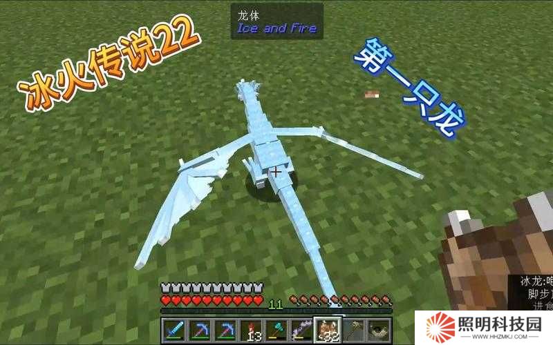 冰封禁地終極挑戰(zhàn)突破冰原守衛(wèi)者冰龍蛋獲取秘籍，解鎖零失誤攻略制霸極寒之境