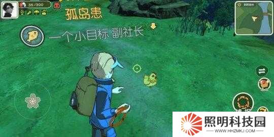 金色羽毛在小森生活中究竟有何妙用？全面攻略指南揭秘！