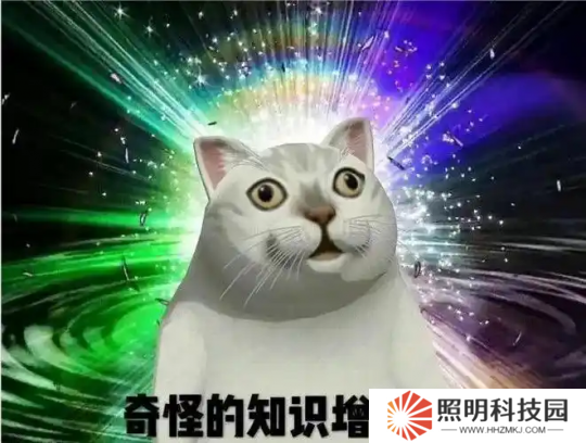 黃金服又雙叒叕發(fā)錢了，全服搶12個(gè)裝備位，榜首直接成網(wǎng)易股東