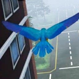 生存競(jìng)賽v1.0安卓版